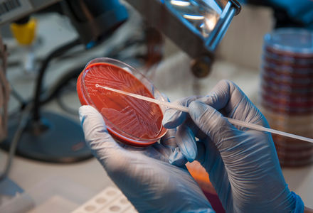 Speciality Group’s second webinar promises wide spectrum of discussion next month