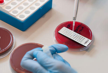 Infectious diseases role opportunity for resident doctors